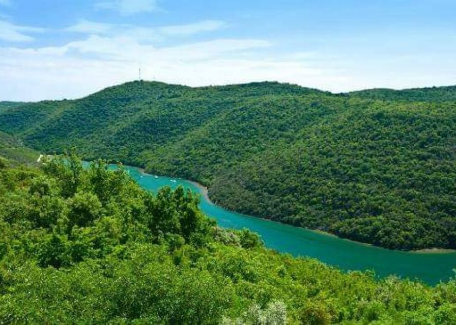 From Poreč: Lim Fjord, Rovinj, and Vrsar Boat Trip - What the $47 price really covers