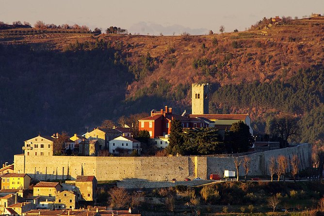From Pula or Medulin: Istria in one day tour - The best parts of the day at a glance
