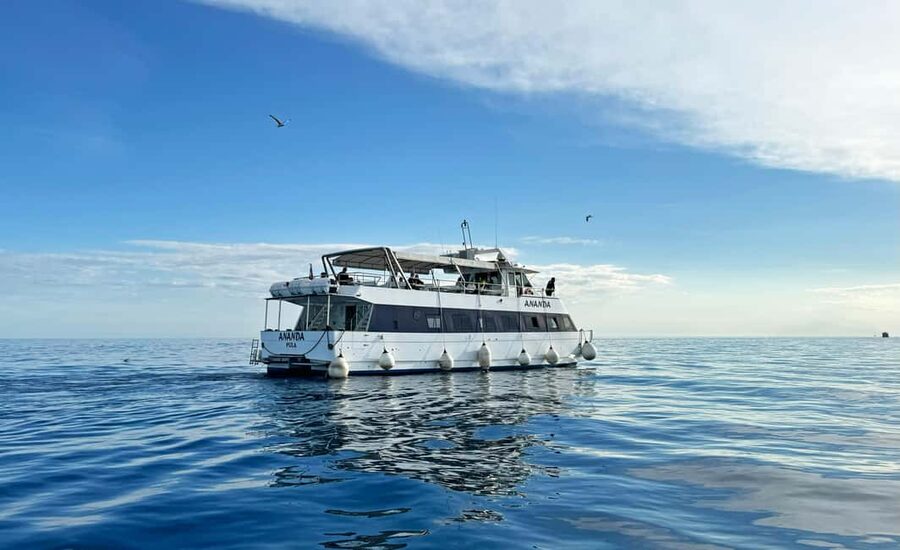 From Pula: Rovinj & NP Brijuni cruise with Red Island visit - Red Island for swimming, snorkeling, and island time