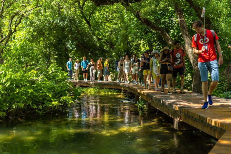 From Split: Krka National Park Tour - Free Time: Walk, Photograph, and Slow Down