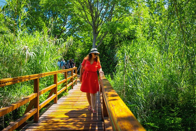 From Split: Krka Waterfalls Tour - Free time in Skradin