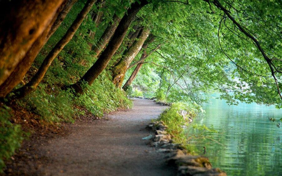 From Split or Trogir: Plitvice Lakes Guided Full-Day Tour - Why Plitvice Lakes is worth the long ride