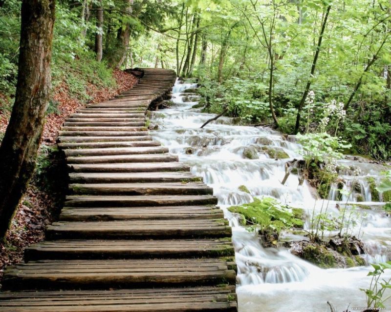 From Split or Trogir: Plitvice Lakes Guided Full-Day Tour - Kozjak Lake by boat