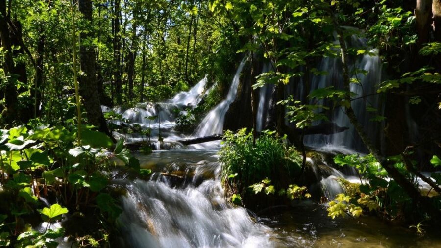 From Split or Trogir: Plitvice Lakes Trip with Entry Ticket - Why Plitvice is worth a day from the coast