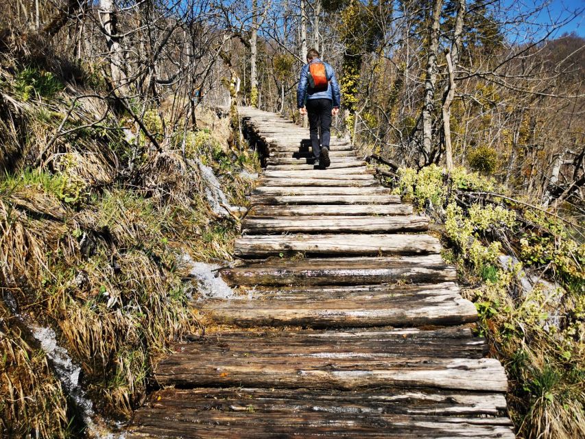 From Split: Plitvice Lakes Full-Day Trip - Four hours through the lower and upper lakes