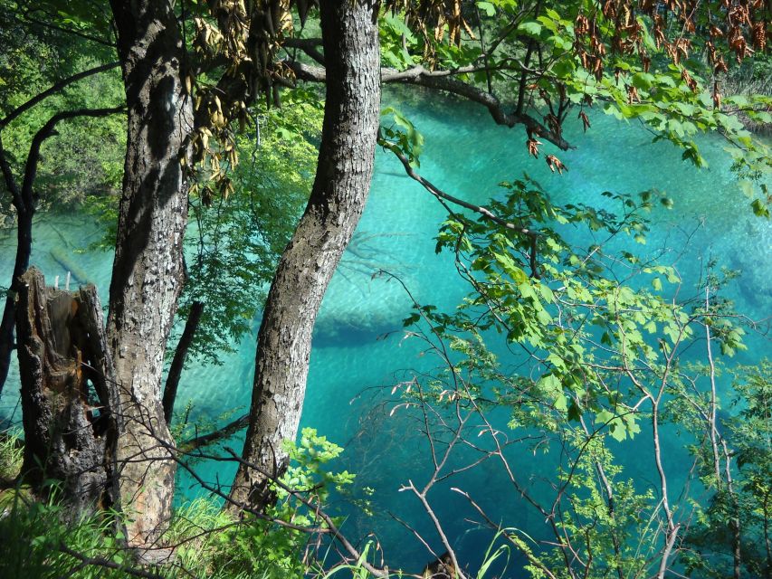 From Split: Plitvice Lakes Full-Day Trip - Shoes, weather, and physical effort