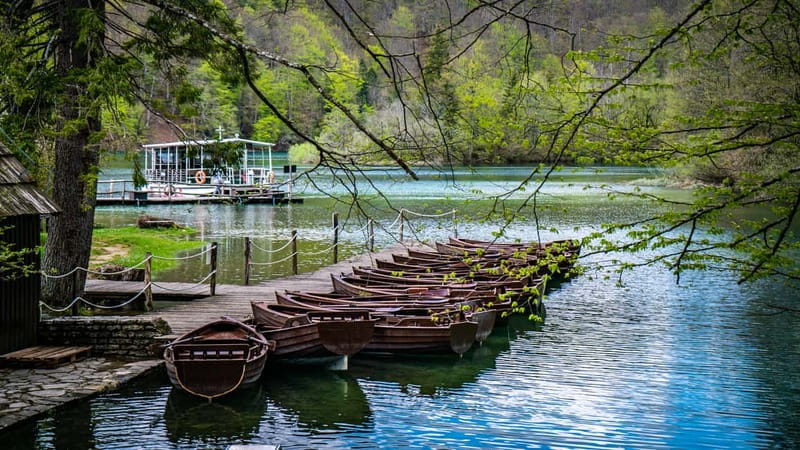 From Split: Plitvice Lakes Guided tour - Entering the national park and starting the 8-kilometer walk