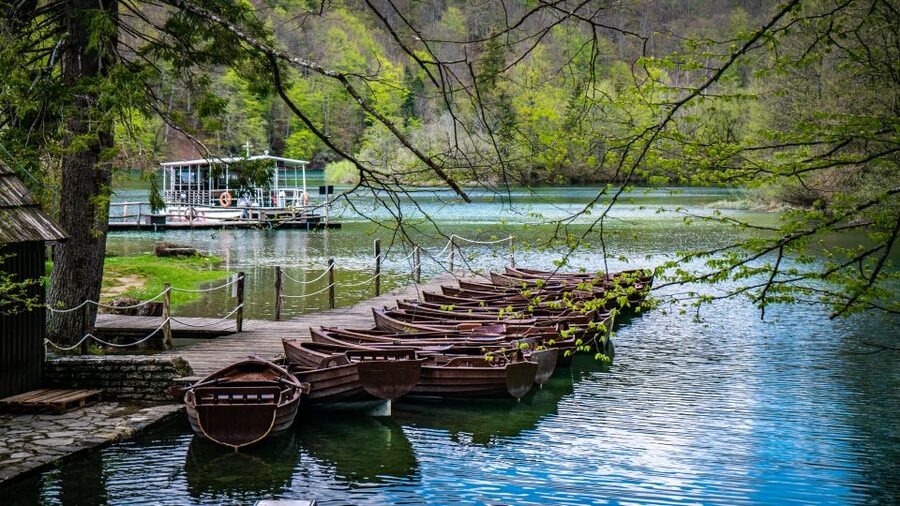 From Split: Plitvice Lakes Guided tour - The electric train back through the forest