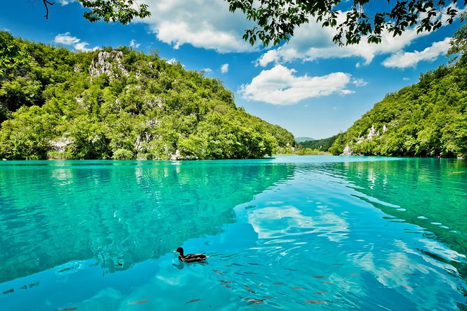From Split: Plitvice Lakes National Park Guided Tour - Walking, weather, and mobility