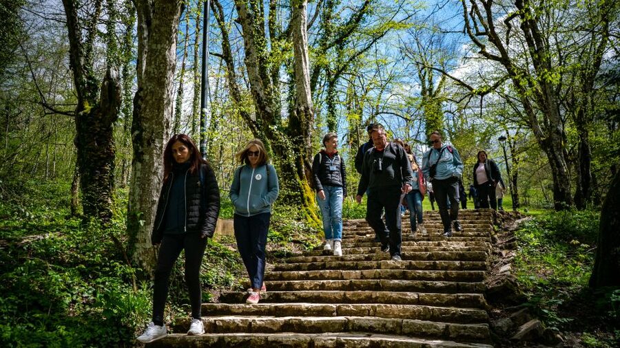 From Split/Trogir/Omiš: Plitvice Lakes Guided Group Tour - The upper lakes, wooden paths, and moving water