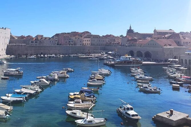 From Split/Trogir Small group tour to Dubrovnik with stop in Ston - The drivers make a real difference