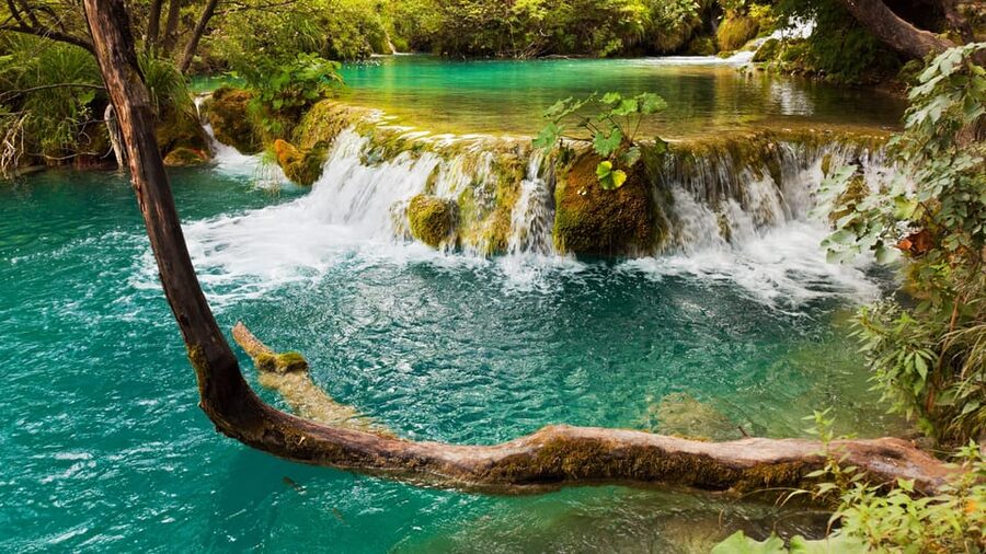 From Trogir, Seget & Okrug: Krka Waterfalls Gastro Tour - The driver, the group, and the touring style