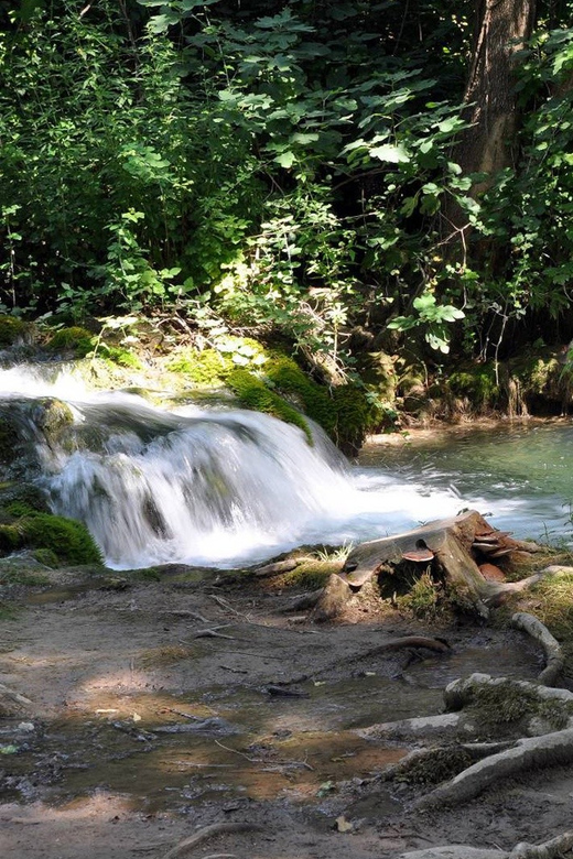 From Trogir, Seget & Okrug: Krka Waterfalls Gastro Tour - Pickup from Trogir, Seget, and Okrug