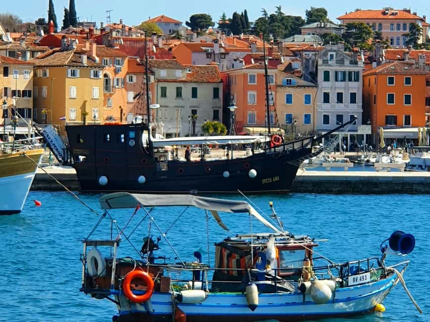 From Vrsar: Boat Trip to Rovinj and Lim Fjord - What the $40 price really covers