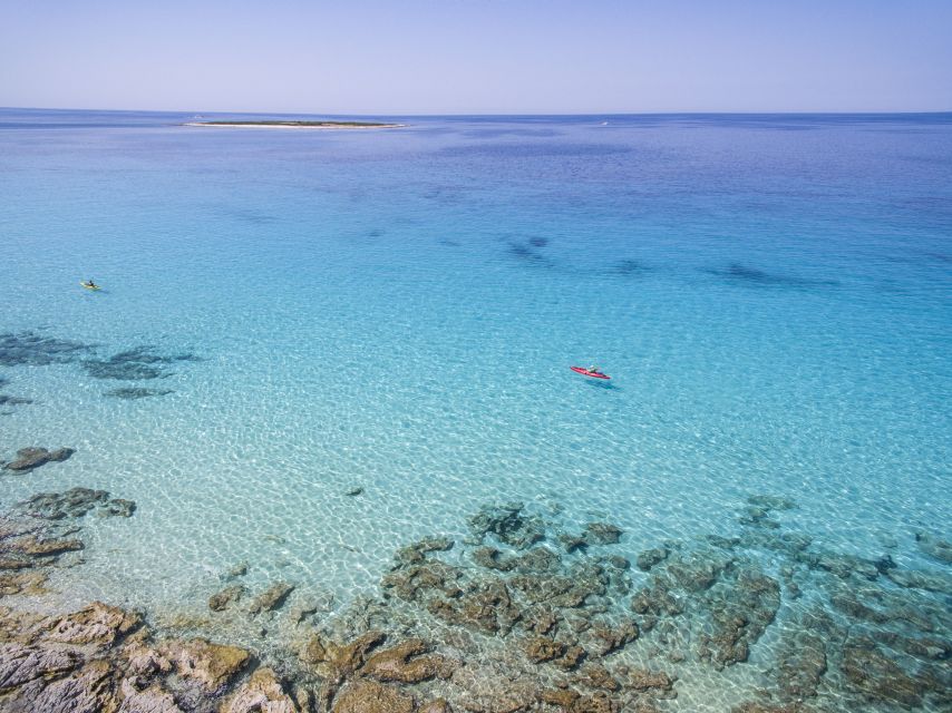 From Zadar: Dugi Otok Half-Day Kayak Adventure - Why this Dugi Otok trip works so well