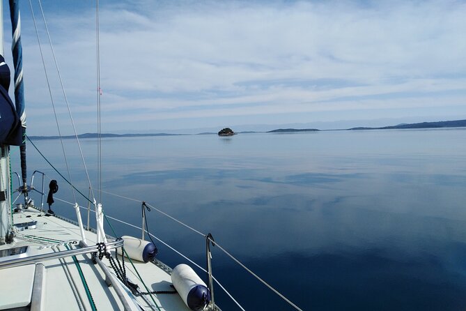 From Zadar: Half day sailing tour - The Best Way to Judge This Tour