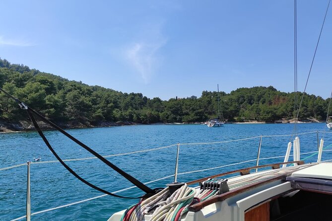 From Zadar: Half day sailing tour - Ošljak: One Hour for Swimming and Snorkeling