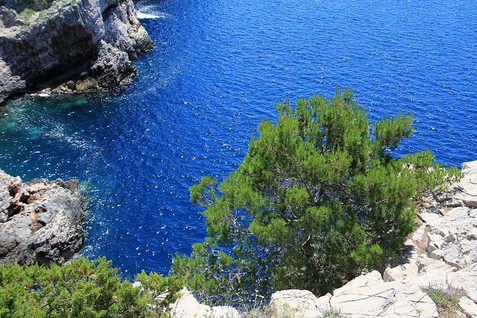 From Zadar: Kornati National Park Day Trip with Breakfast & Lunch - Is the $52.50 price good value?
