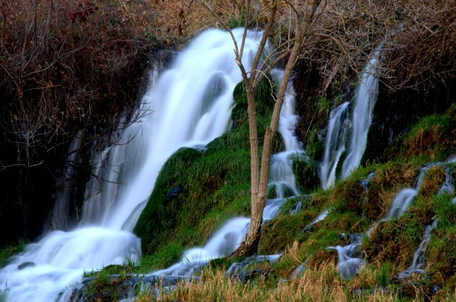 From Zadar: Krka National Park and Waterfalls Day Trip - The guides and the group experience