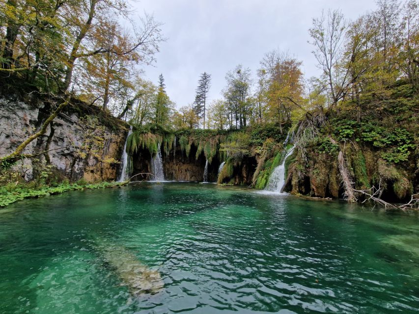 From Zadar: Krka Waterfalls Tour with Panoramic Boat Ride - The Panoramic Boat Ride Through the River Park