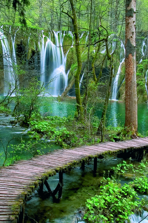 From Zadar: Plitvice Lakes Day Tour - Meeting in Zadar before the 8:00 a.m. departure