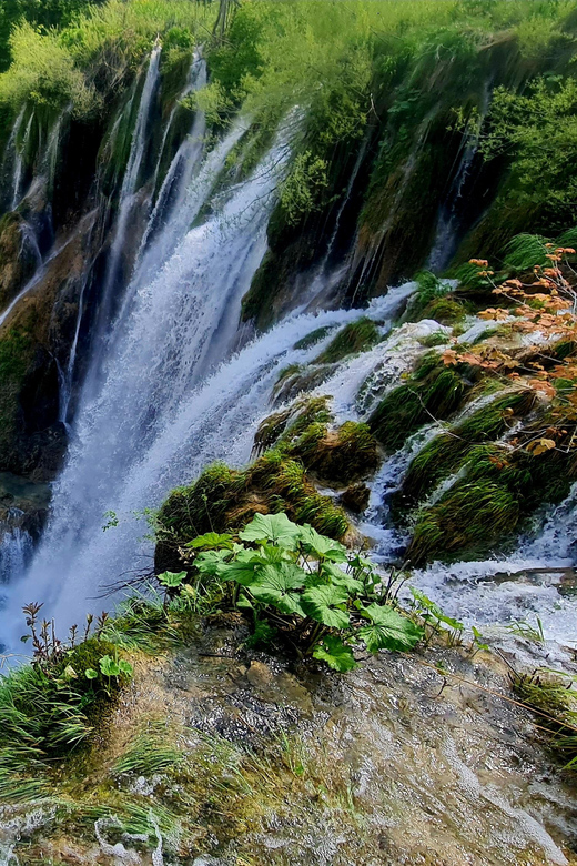 From Zadar: Plitvice Lakes Day Trip with Guide and Boat Tour - Why Plitvice Lakes makes a worthwhile day trip