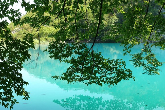 From Zadar: Plitvice Lakes with Boat Ride & Zadar Old town tour - Group size, guides, and how the day feels