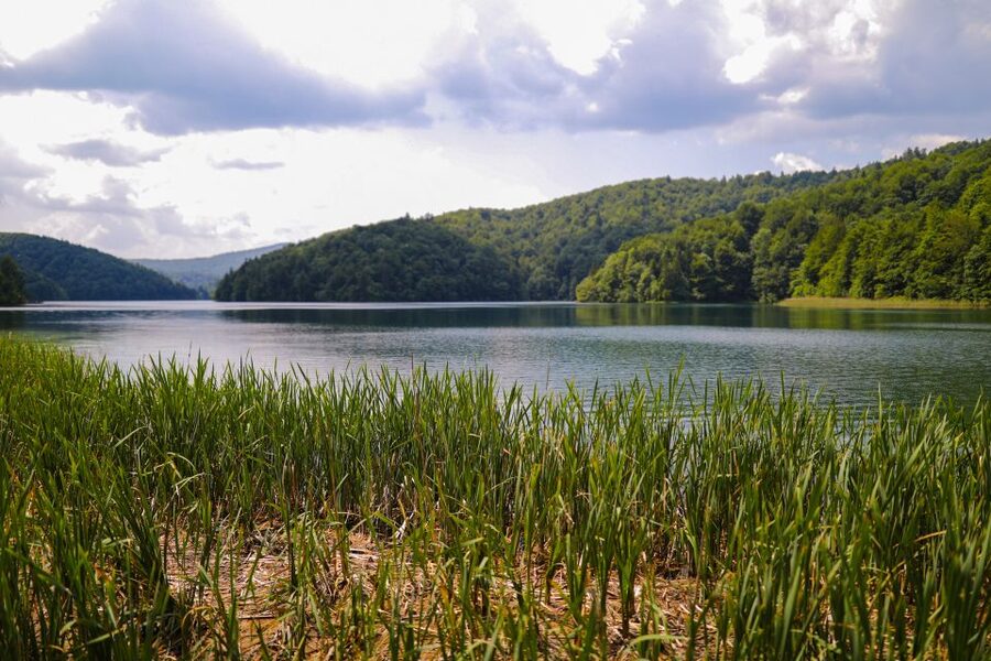 From Zadar: Round-Trip Transfer to Plitvice Lakes - What the guides add to a self-guided visit