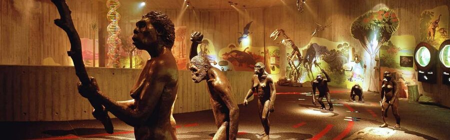 From Zagreb:Discover North Croatia, Museums, Castle and City - The Krapina Neanderthal Museum starts the day