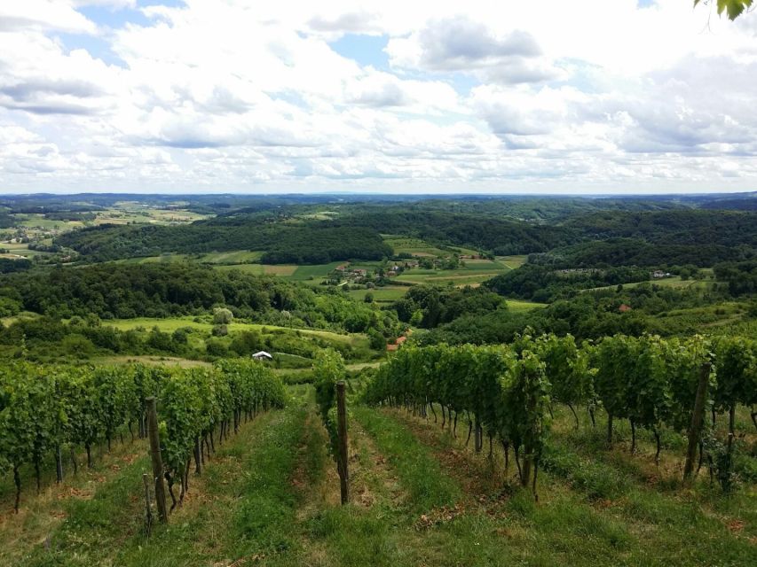 From Zagreb: Fairytale Castle & Wine Tasting & Lunch - Four wines above the Zagorje vineyards