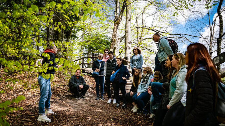 From Zagreb: Plitvice Lakes National Park Full-Day Tour - Should you book the Plitvice Lakes tour?