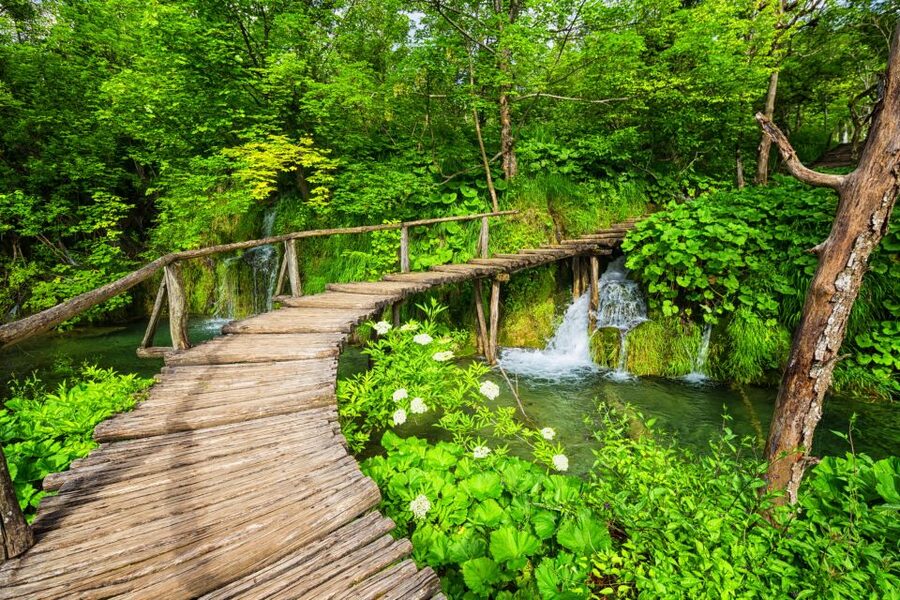 From Zagreb: Plitvice Lakes & Rastoke Private Tour - Is $424 per person good value?