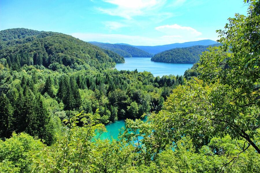 From Zagreb: Plitvice Lakes & Rastoke Private Tour - Weather, timing, and the flexible format