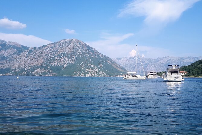 Full-Day Group Tour of Montenegro Coast from Dubrovnik - Guides, Drivers, and the Human Factor