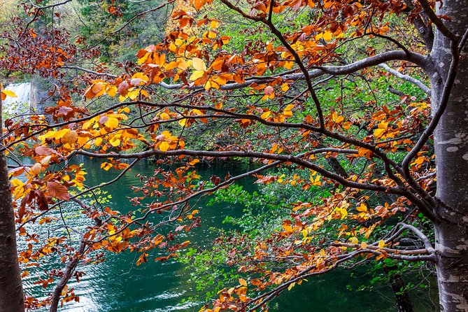 Full-Day Private Plitvice Lakes National Park Tour from Split - Who will enjoy this experience most
