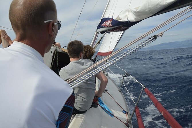 Full-Day Small-Group Dalmatian Coast Sailing Cruise from Split - Leaving Split for a day on the Adriatic