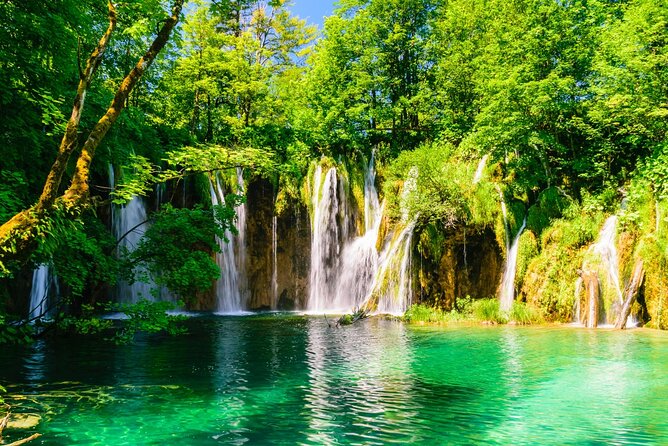 Full-Day Tour of Plitvice Lakes National Park from Zadar - At a glance: what matters most