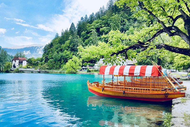 Full-Day trip to Lake Bled - Free time in Bled: cake, swimming, and a carriage ride