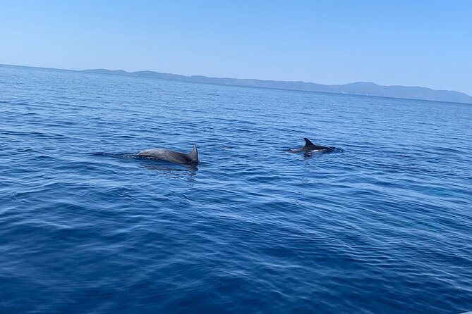 Fully customized private boat trip from Trogir and Split - What the $687.24 price really covers