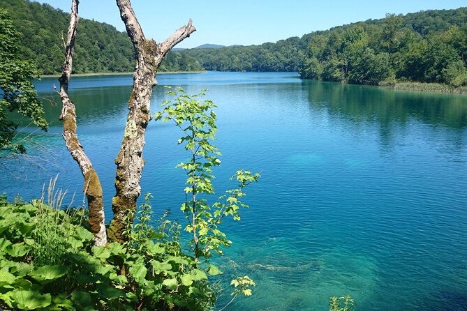Guided Day Tour from Zadar to Plitvice Lakes - The included boat and train rides