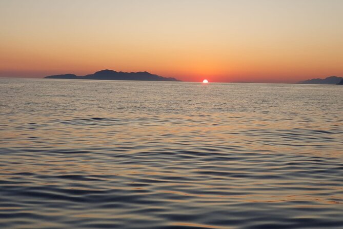 Half-Day Best Beaches & Bays Private Speed Boat Tour - What the skipper adds to the day