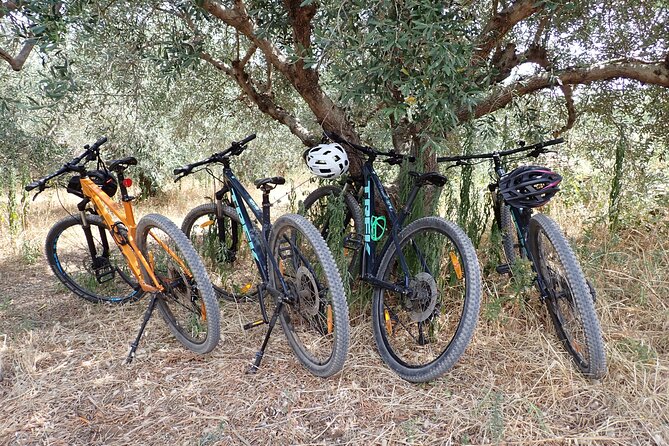Half-Day Bike Tour in Lumbarda with Wine Tasting - Returning Through More of Lumbarda