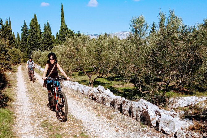 Half-Day Bike Tour in Lumbarda with Wine Tasting - What the $111.20 Price Gets You