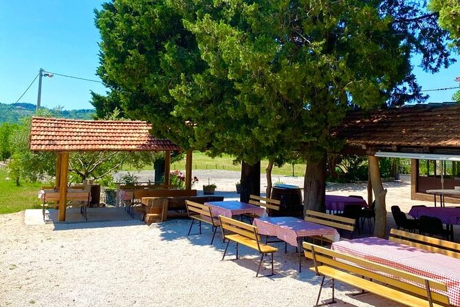 Half-Day Wine and Food Tasting from Dubrovnik - Cavtat Old Town and the harbor pause