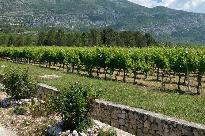 Half-Day Wine and Food Tasting from Dubrovnik - Is $120.94 a fair price?