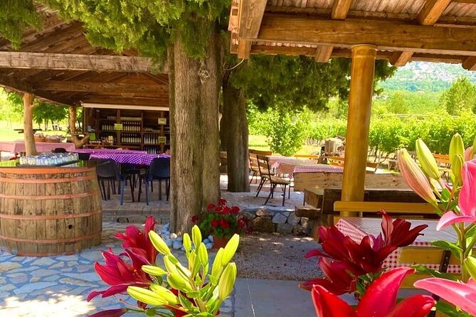 Half-Day Wine and Food Tasting from Dubrovnik - A family winery with a long story