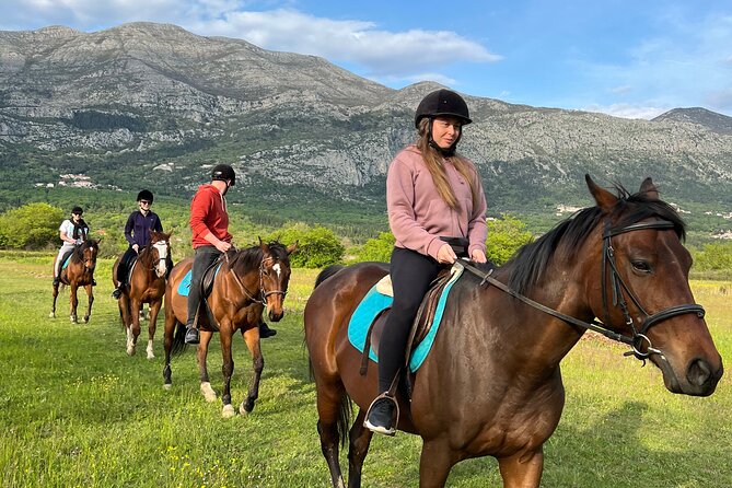 Horseback Riding Experience with transport from Dubrovnik - Key points to know before booking