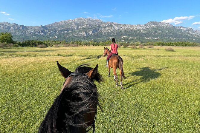 Horseback Riding Experience with transport from Dubrovnik - Meeting the horses and the hosts