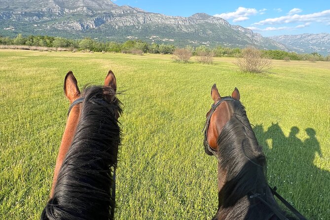 Horseback Riding Experience with transport from Dubrovnik - Why the small group of six improves the ride