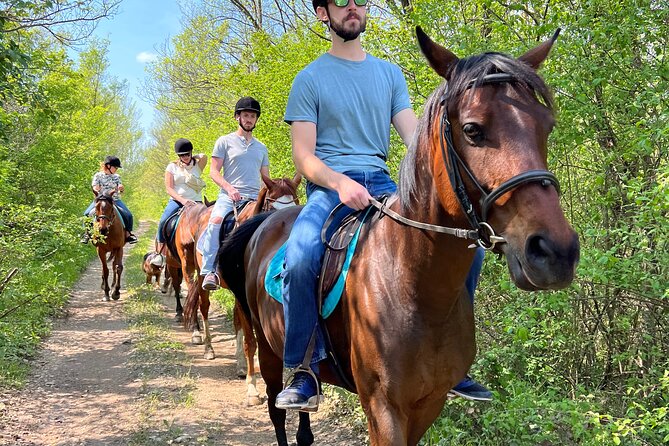 Horseback Riding Experience with transport from Dubrovnik - Local food, wine, and a proper welcome